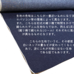 岡山ネップセルビッチデニム