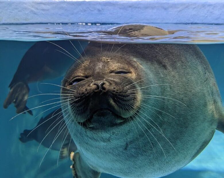 インスタグラム画像